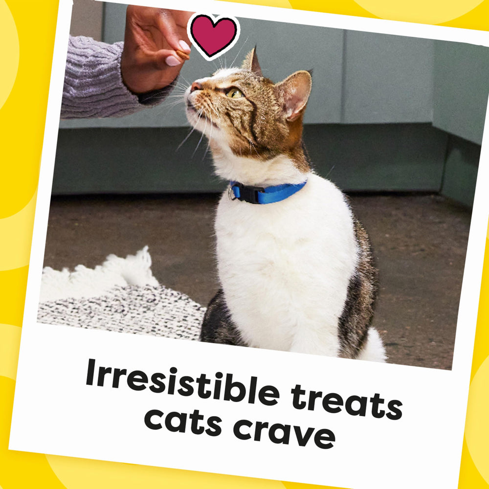 Temptations Seafood Medley flavor variety displayed for daily cat snacks.