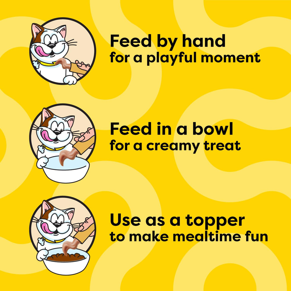 Temptations senior cat easy-to-eat puree demonstrates gentle texture for older cats.