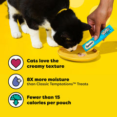 Temptations squeeze-tube feeding demonstrates convenient mealtime option.