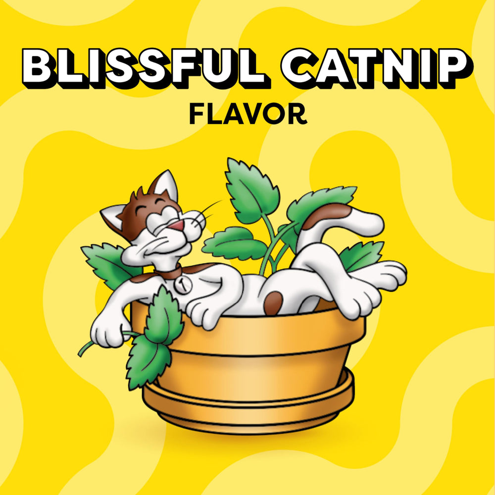 Temptations cat treats—versatile reward snack or topper for meals.
