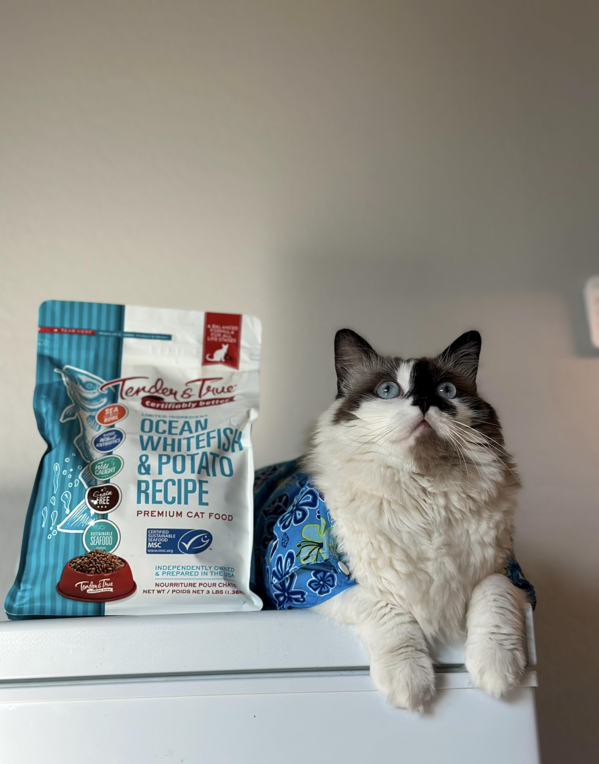 Tender & True limited-ingredient formula for simple cat meals