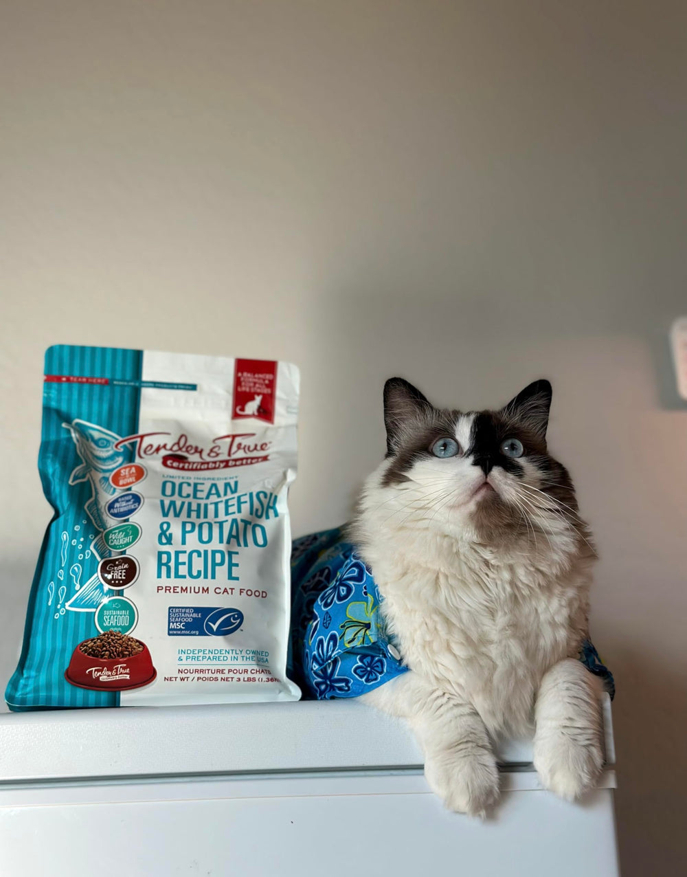 Tender & True limited-ingredient formula for simple cat meals