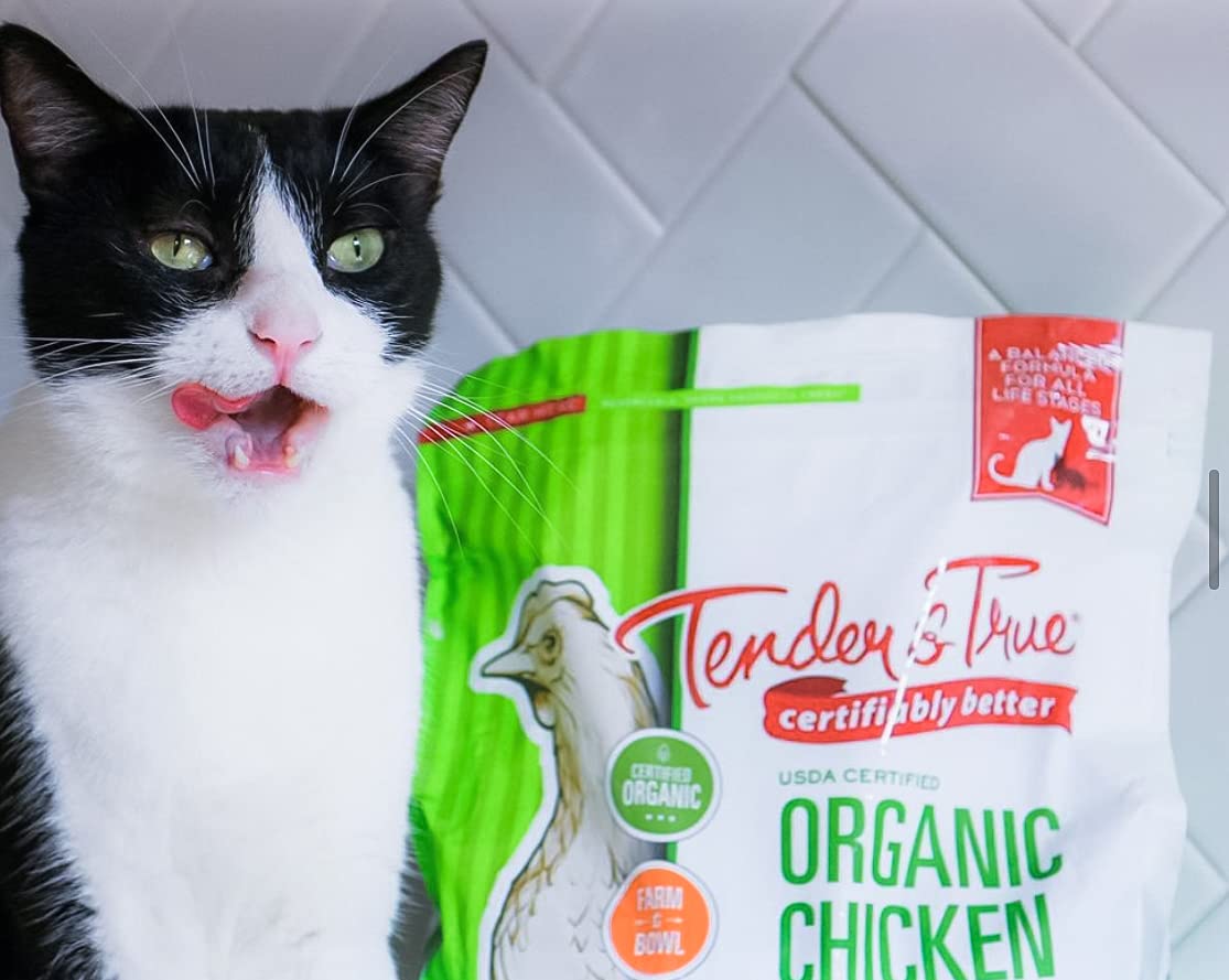 Tender & True cat food bowl ready to serve