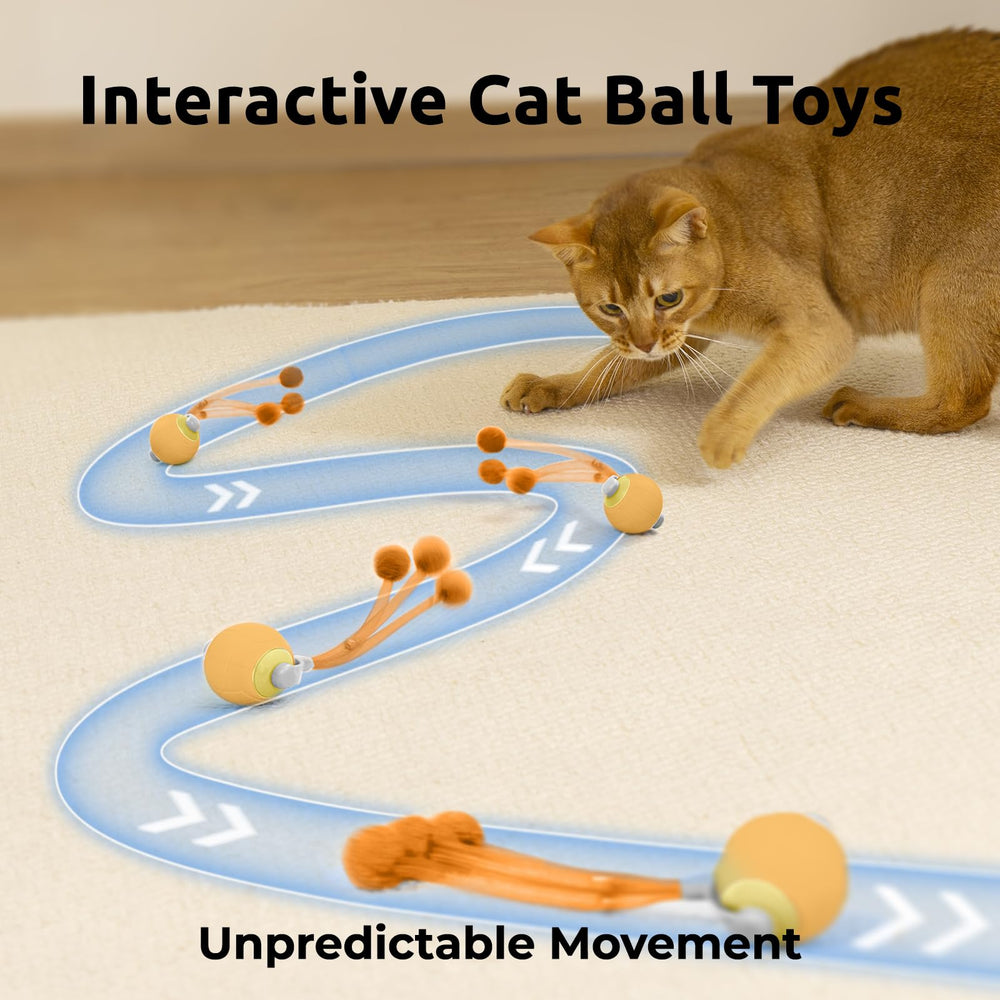 TENECUTE cat toy ball showing playful movement for indoor exercise.