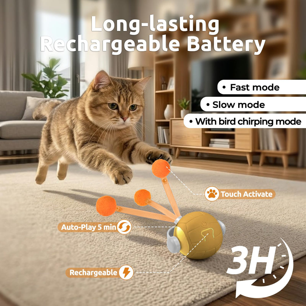 TENECUTE cat toy with detachable shell for easy cleaning after play.