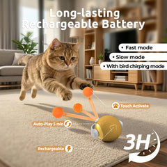 TENECUTE cat toy with detachable shell for easy cleaning after play.