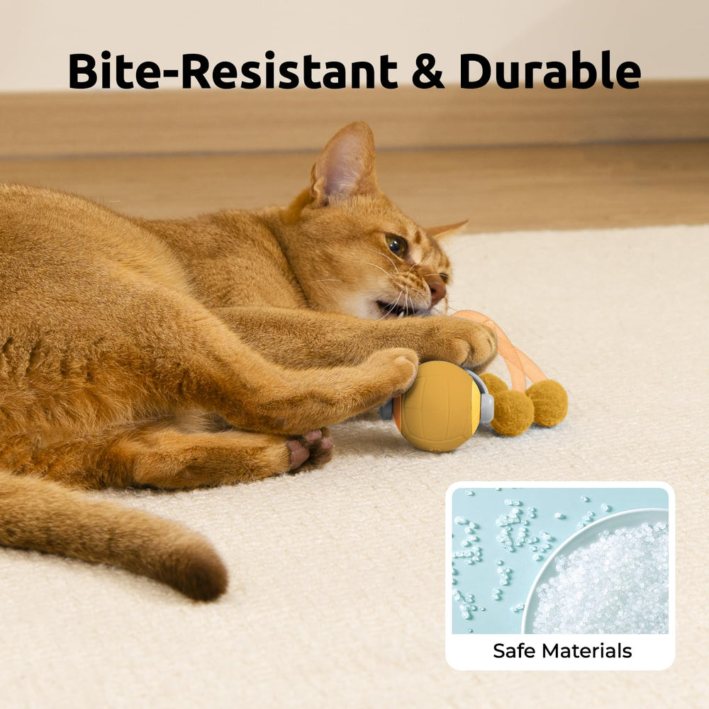 TENECUTE cat toy indoor fitness coach promoting running and jumping.
