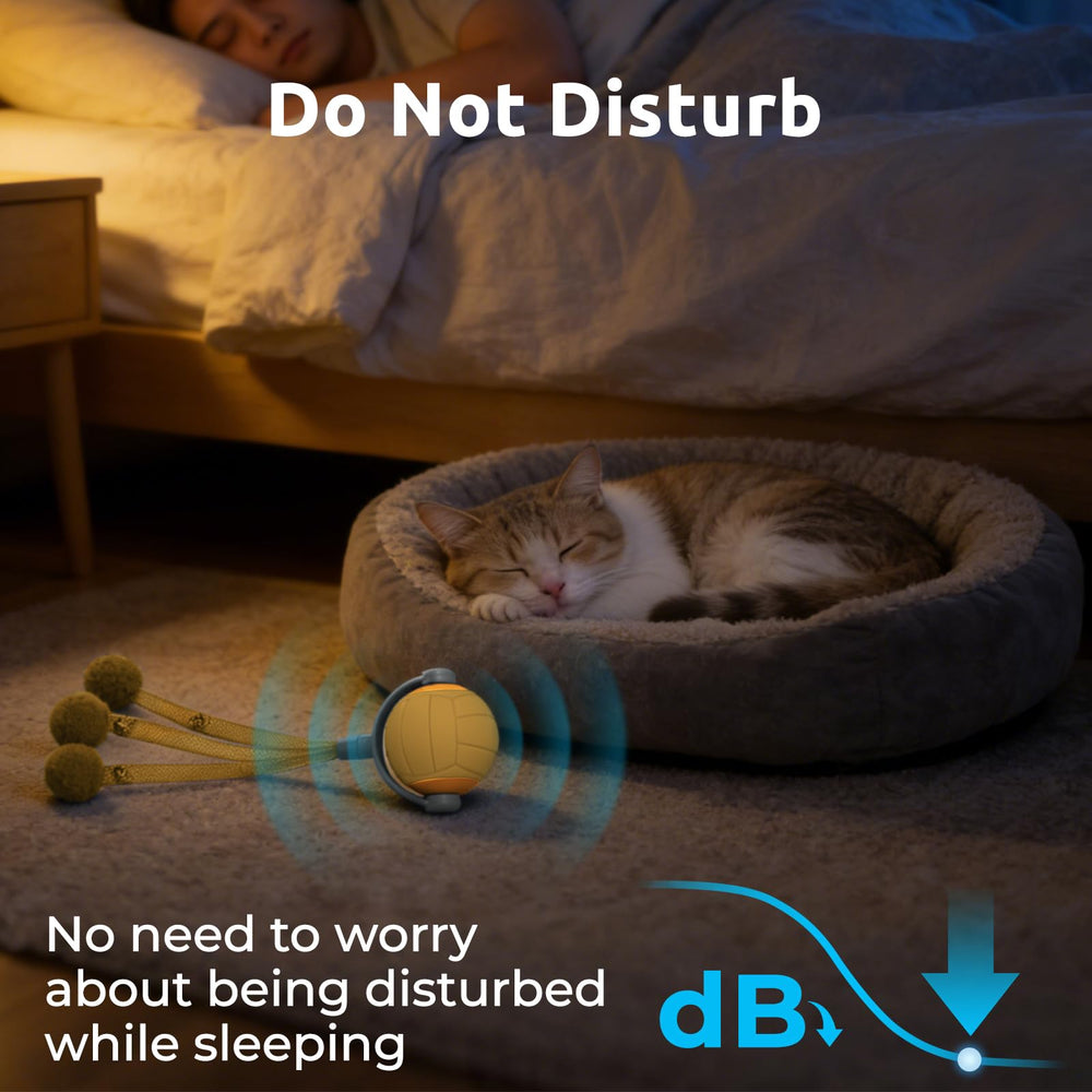 TENECUTE cat toy USB recharge port visible for convenient power.