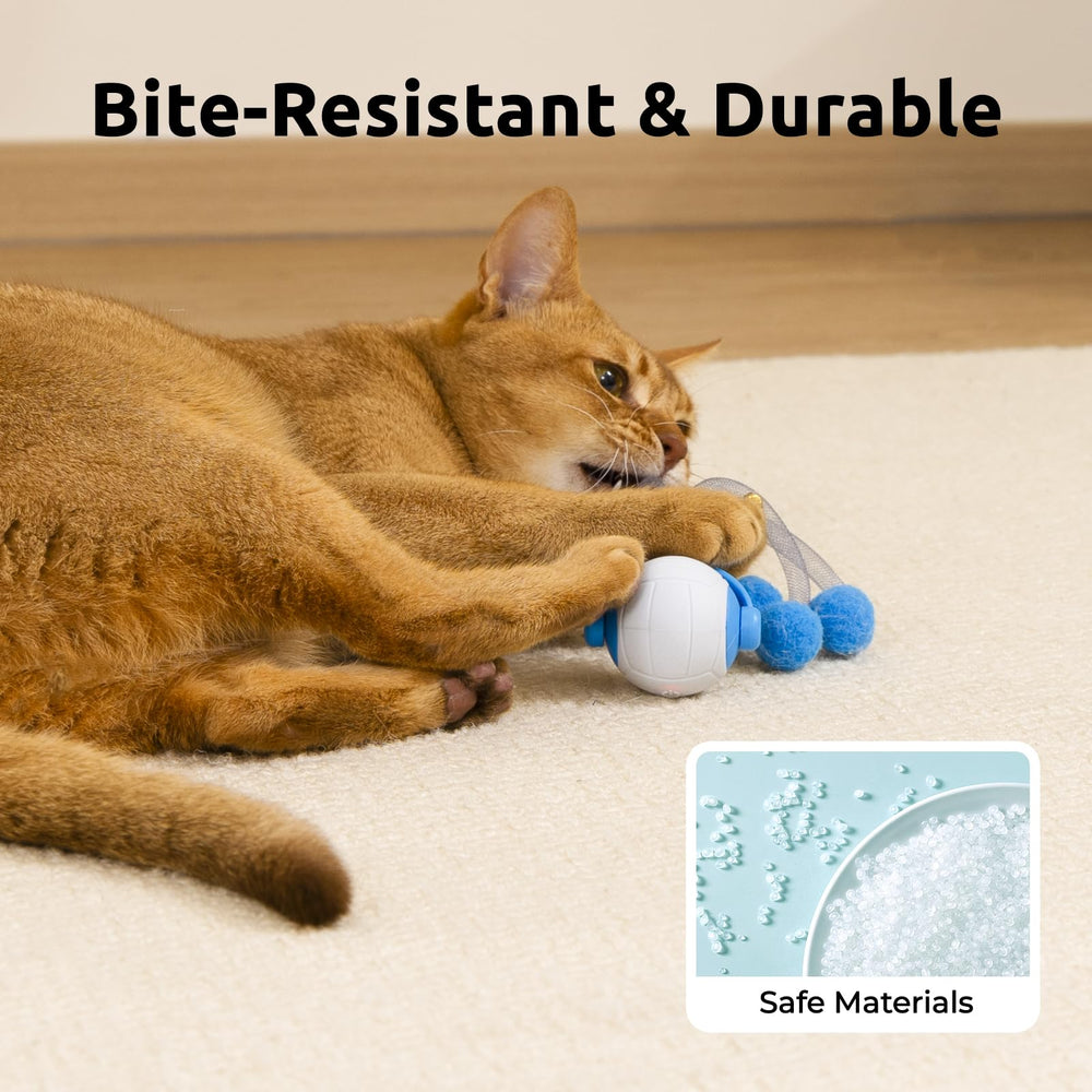 Tenecute blue USB-rechargeable cat toy ready for charging