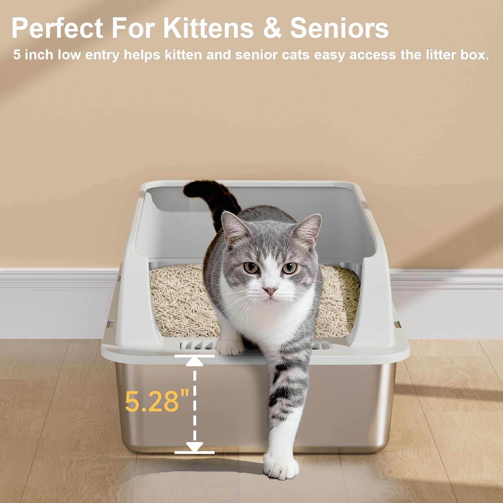 Low front entry allows easy access for kittens and seniors.