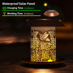 Tepaken solar LED lantern delivers warm light and decorative hummingbird pattern after dark.