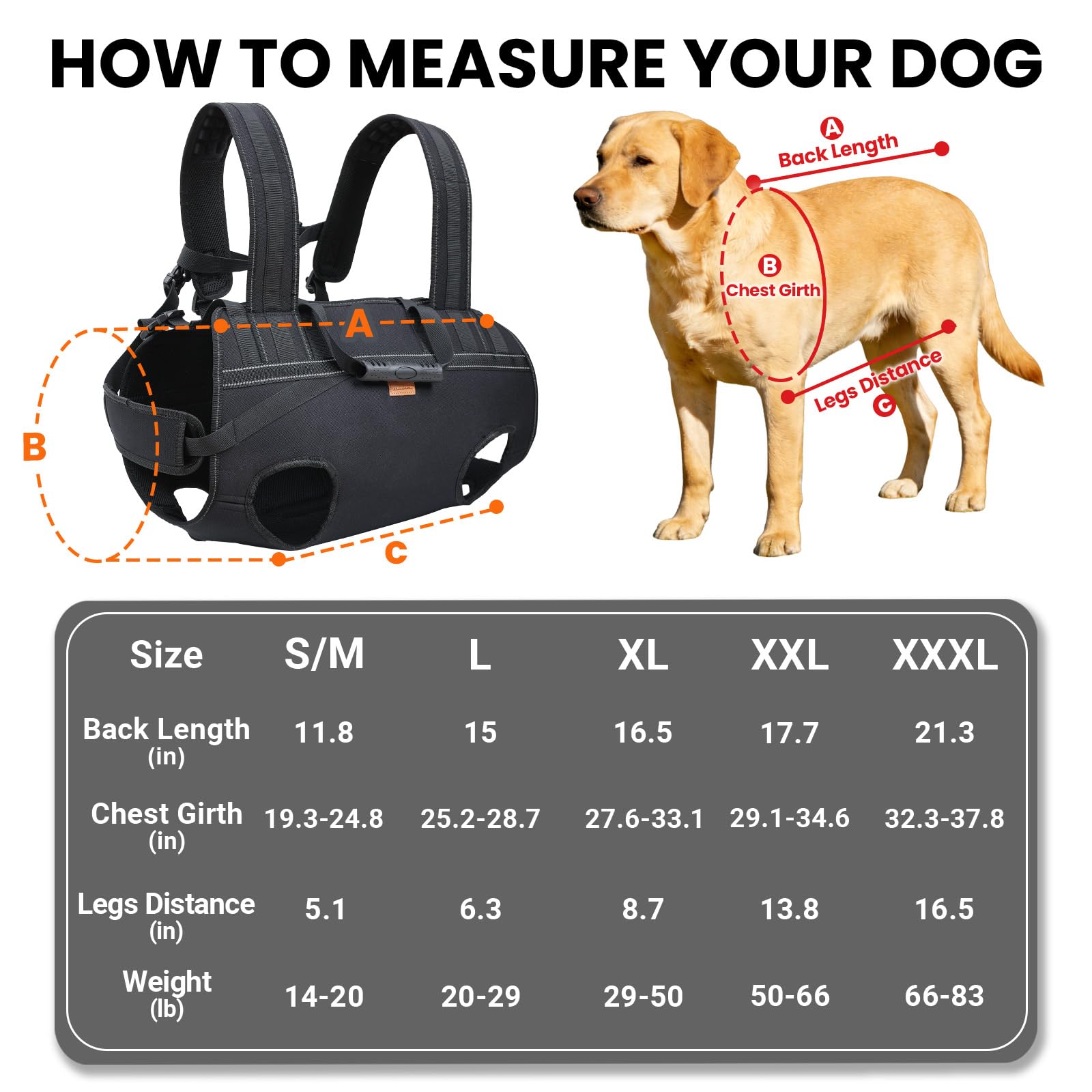 Terapaton dog carrier backpack offers versatile transport for long walks and trips