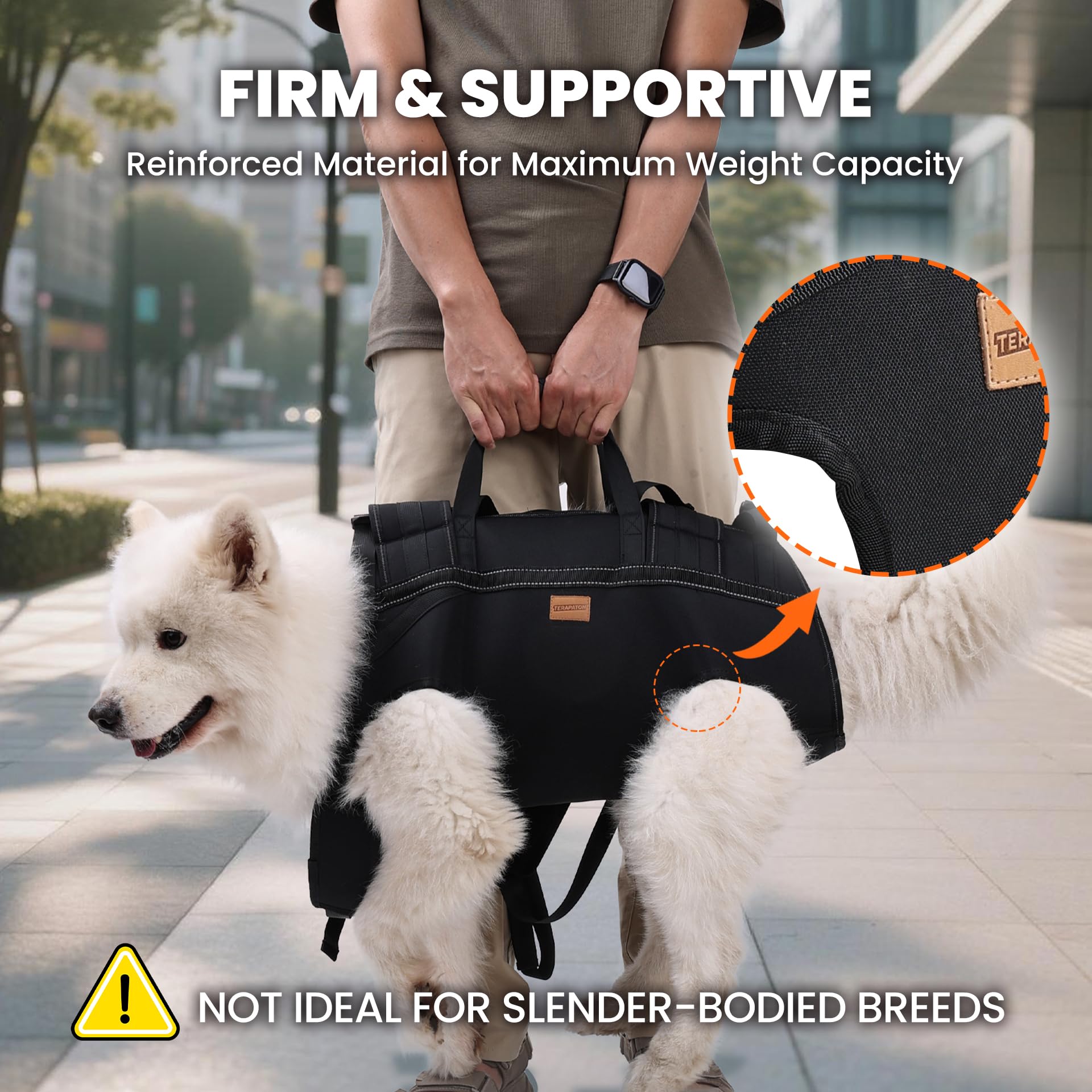 Terapaton high-capacity carrier supports dogs up to 66 lbs for varied adventures