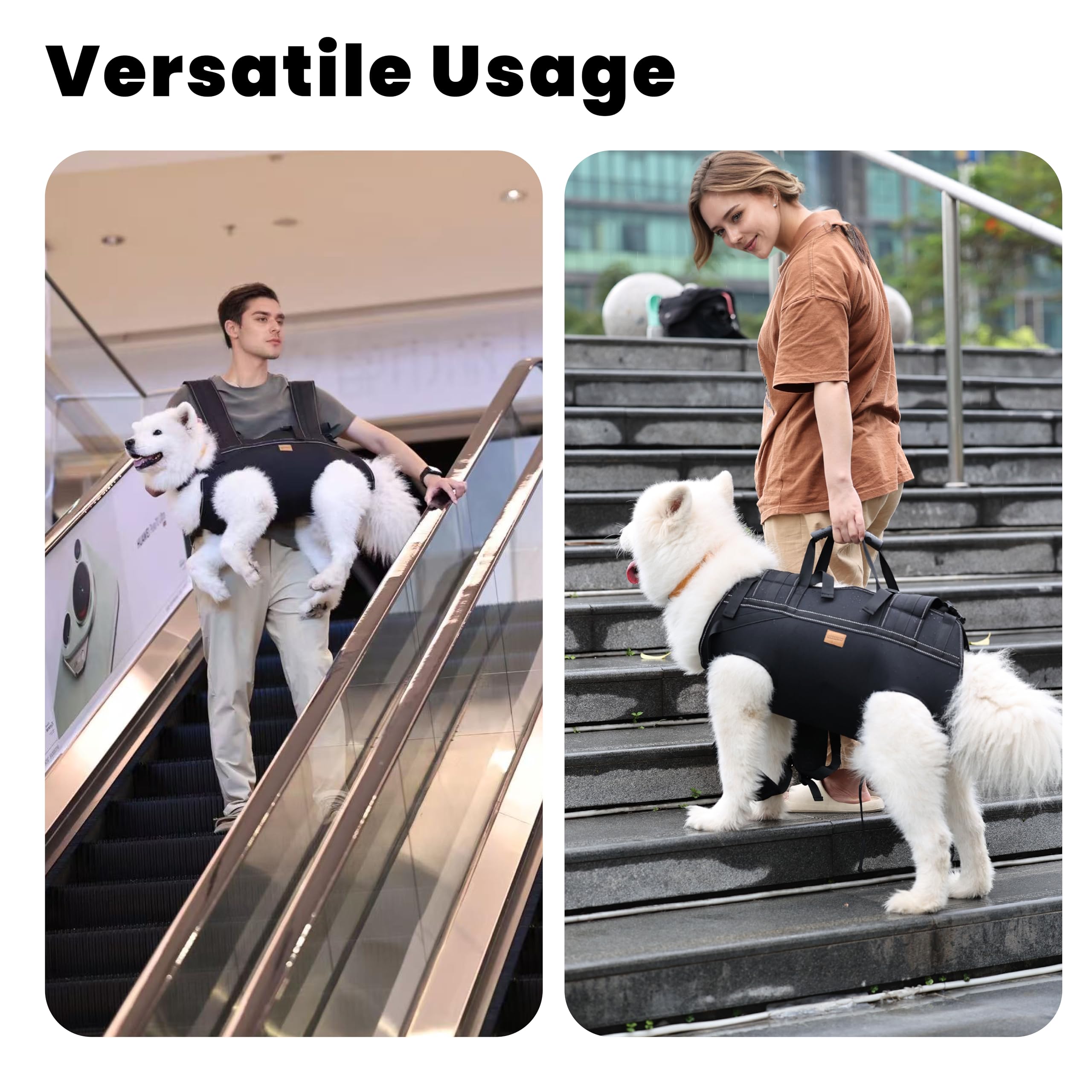Terapaton durable Oxford fabric carrier keeps large dogs comfy during travel