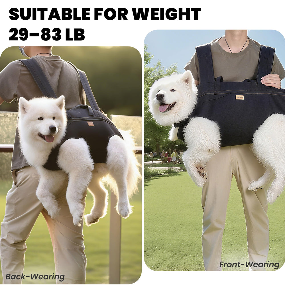 Terapaton reflective stripes improve visibility for nighttime outings with your dog