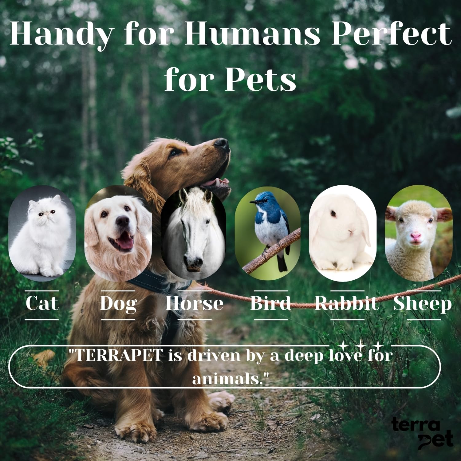 Terrapet eye-care ointment close-up shows smooth cream for dogs and cats
