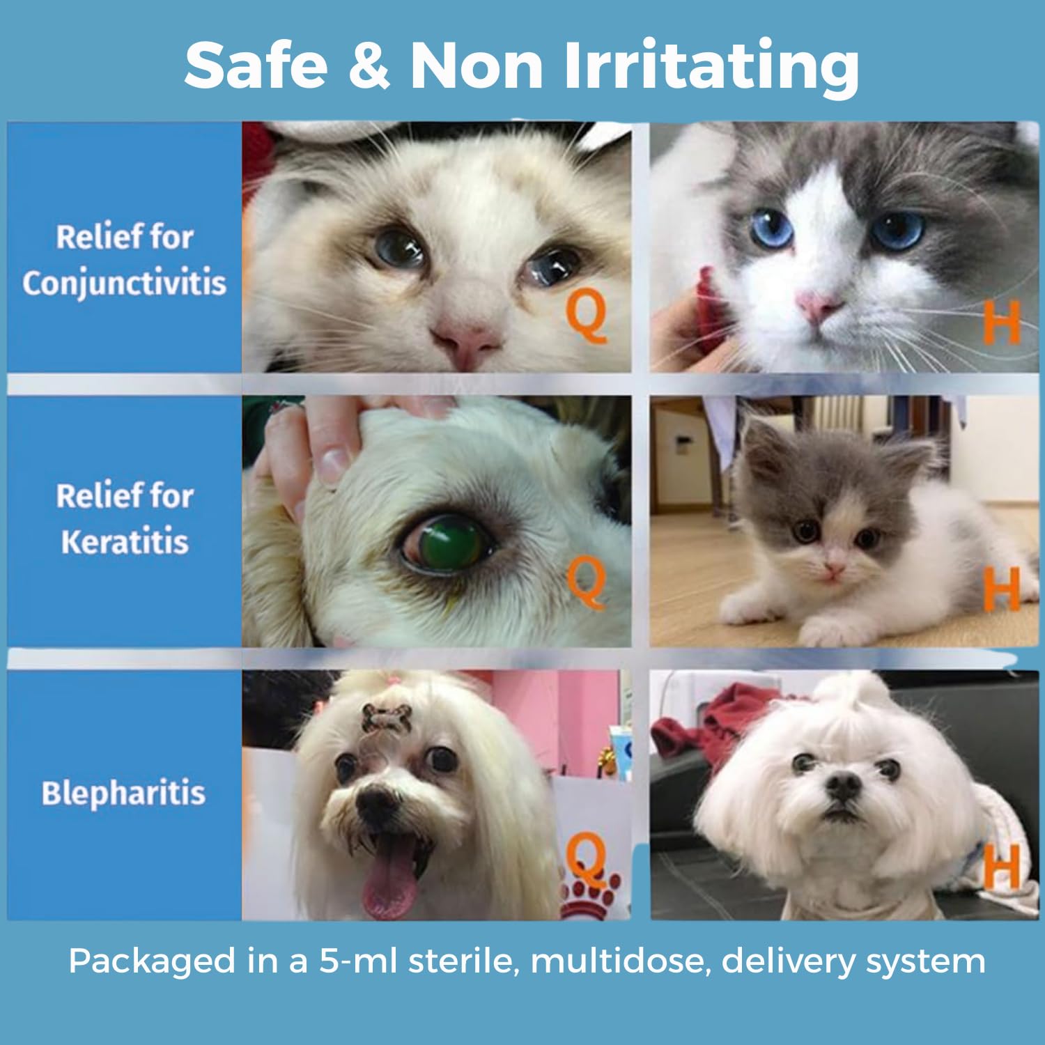 Visiopet eye drops for dogs and cats used at home.