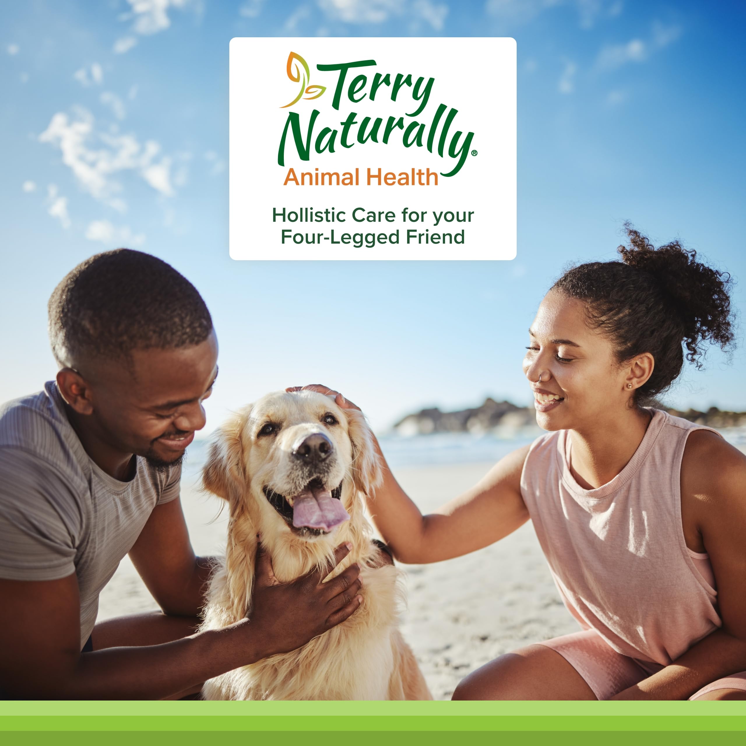 Terry Naturally Joint & Hip dog wafers benefits graphic for daily pet care.