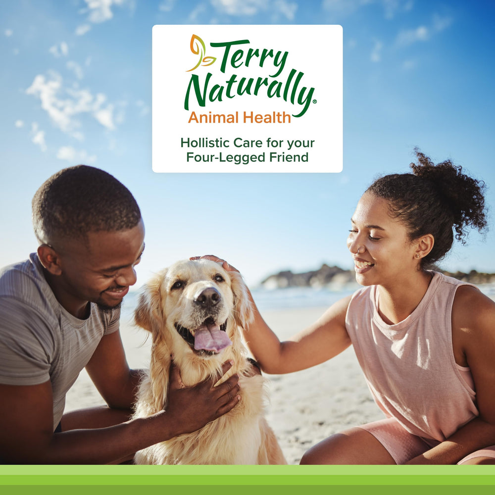 Terry Naturally Joint & Hip dog wafers benefits graphic for daily pet care.