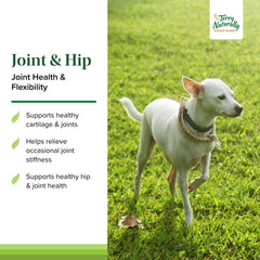 Terry Naturally Joint & Hip dog wafers closeup highlighting chewy texture.