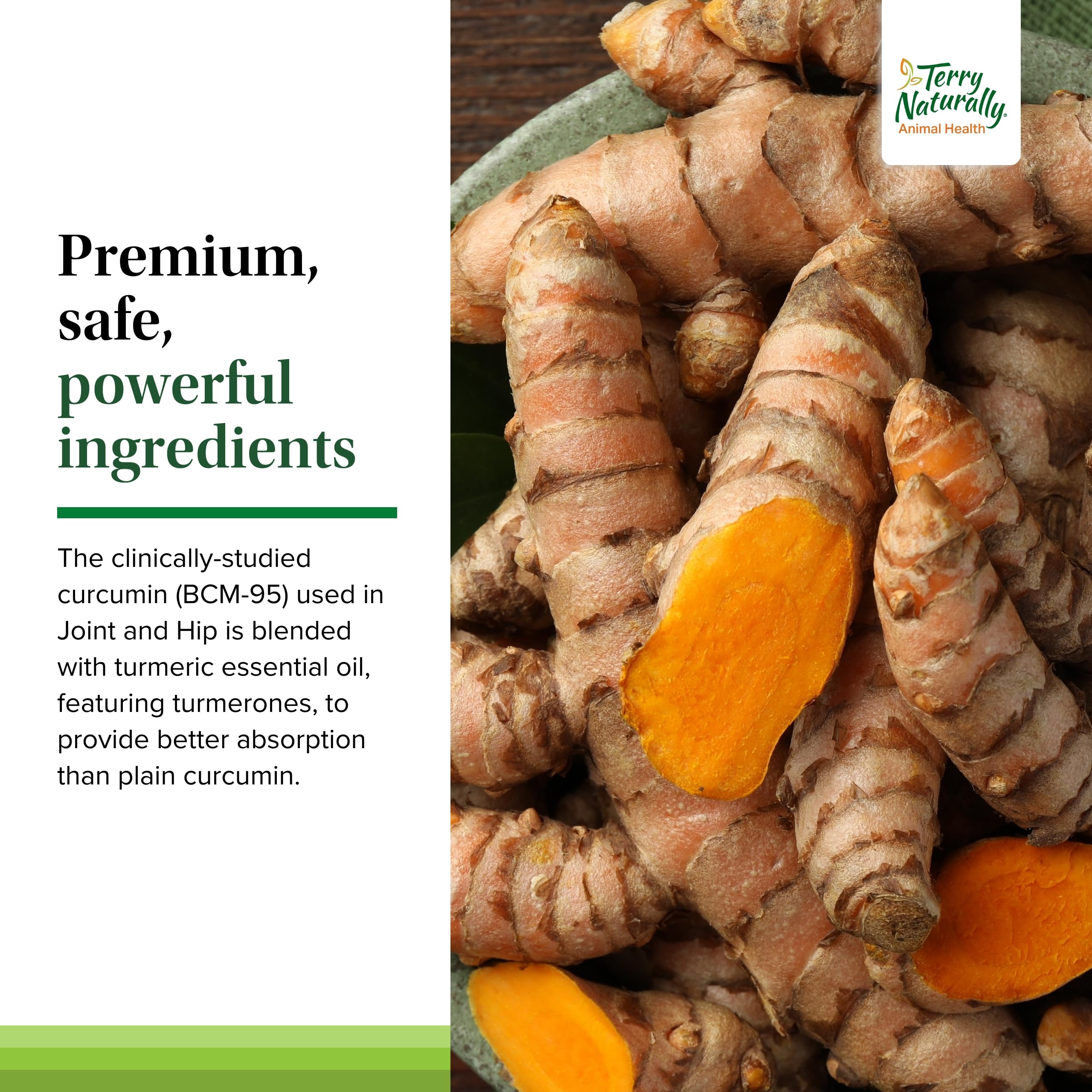 Terry Naturally Joint & Hip dog wafers ingredients highlight curcumin-rich formula.