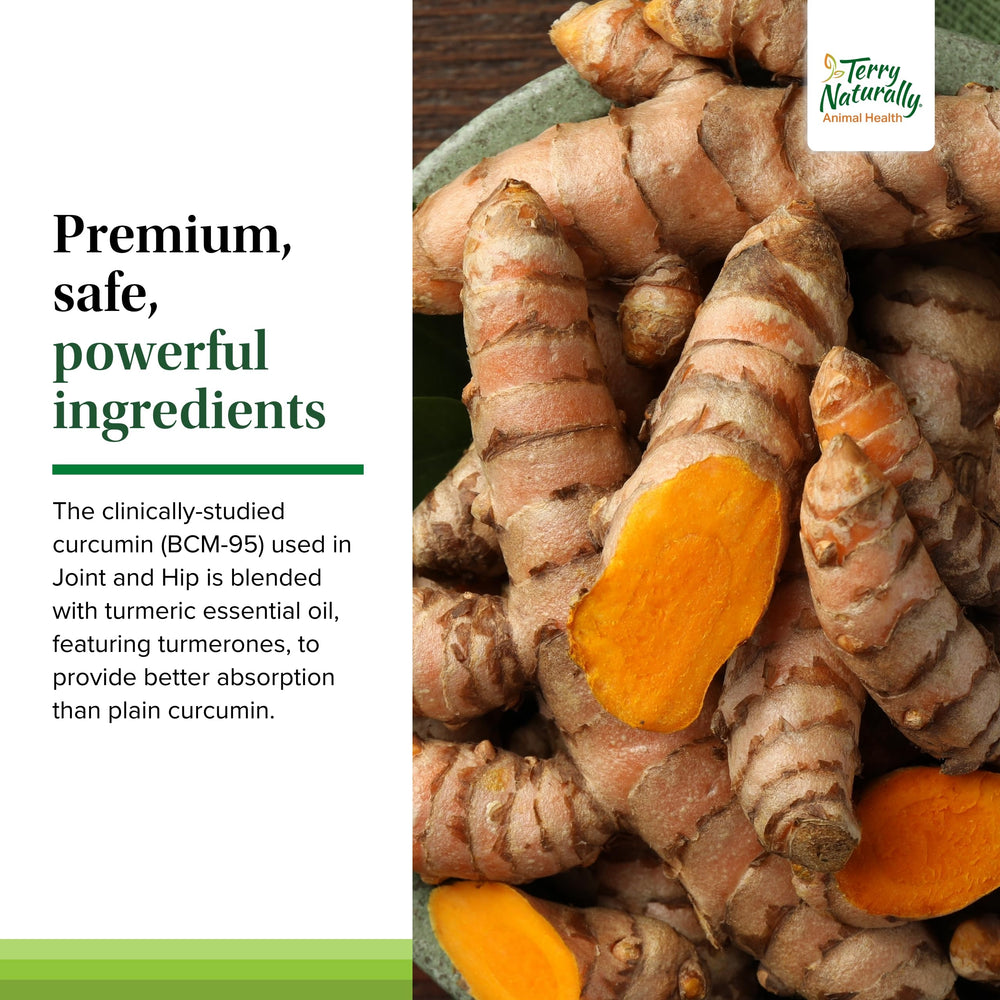 Terry Naturally Joint & Hip dog wafers ingredients highlight curcumin-rich formula.