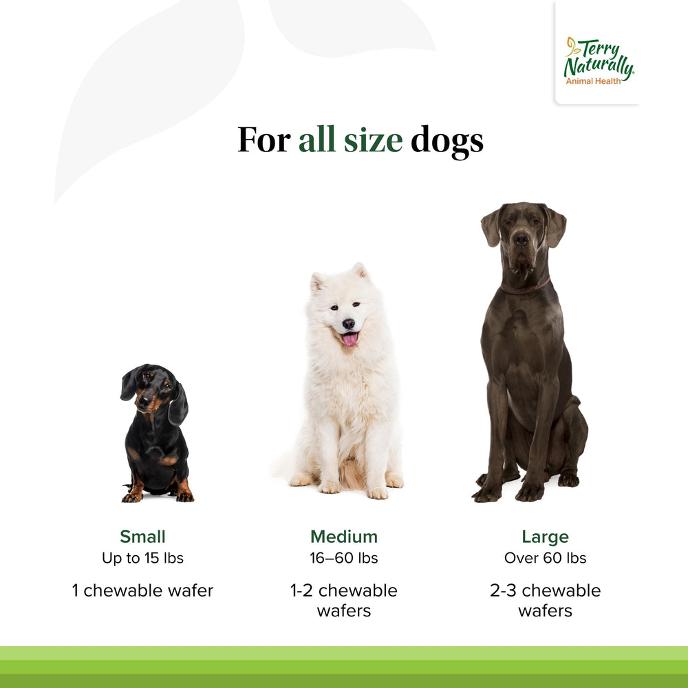 Terry Naturally Joint & Hip dog wafers packaging label featuring ingredients.