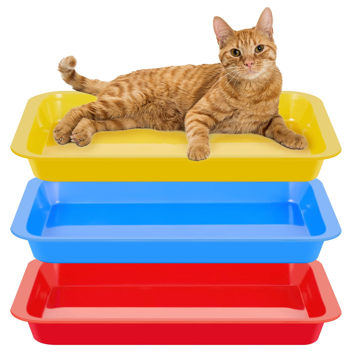 Tessco for you kitten litter box in blue, ideal for training and daily use