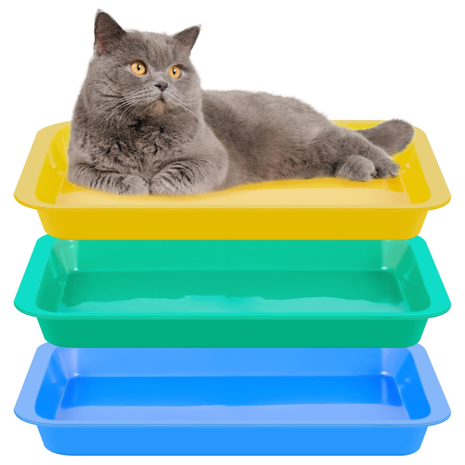 Tessco for you kitten open low-entry litter box for easy access and quick cleanup.