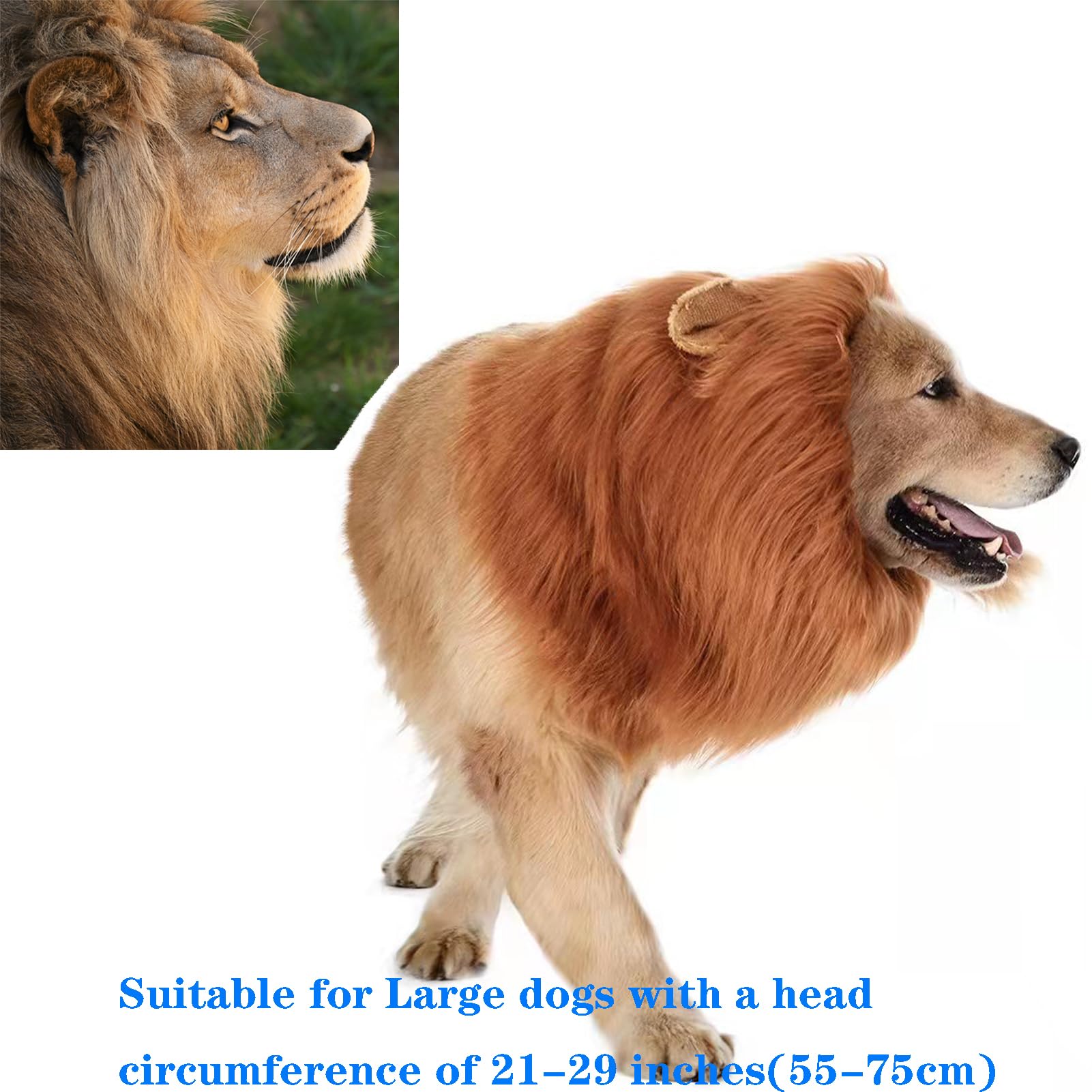 TESSVEYA lion mane wig for large dogs enhances event visibility.