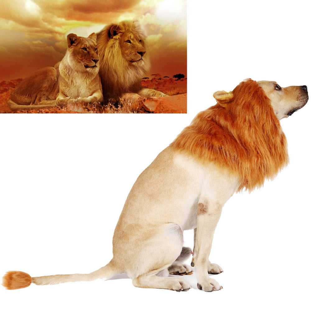 TESSVEYA versatile dog wig gift idea for holidays and birthdays.