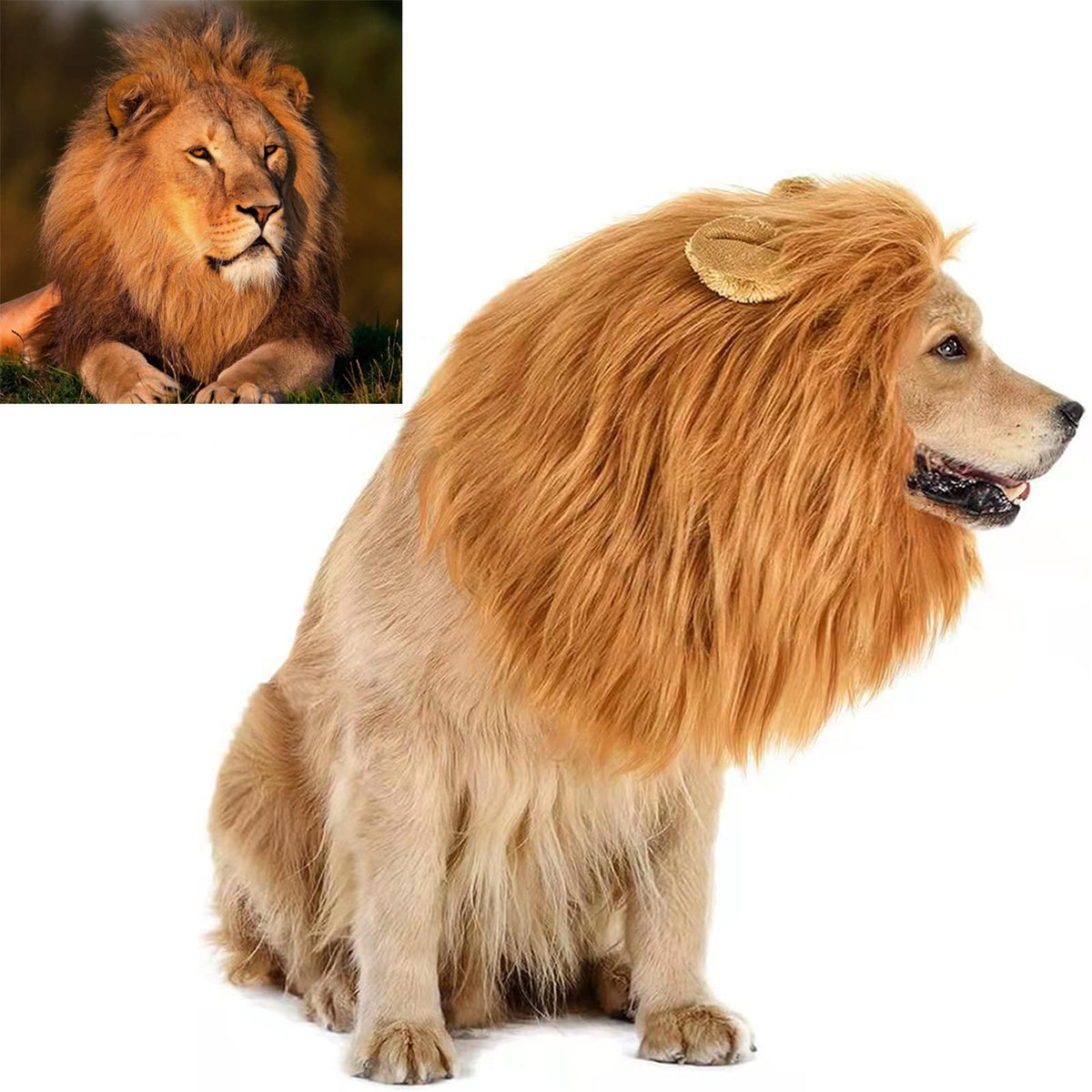 TESSVEYA funny dog cosplay lion brown wig for playful events.