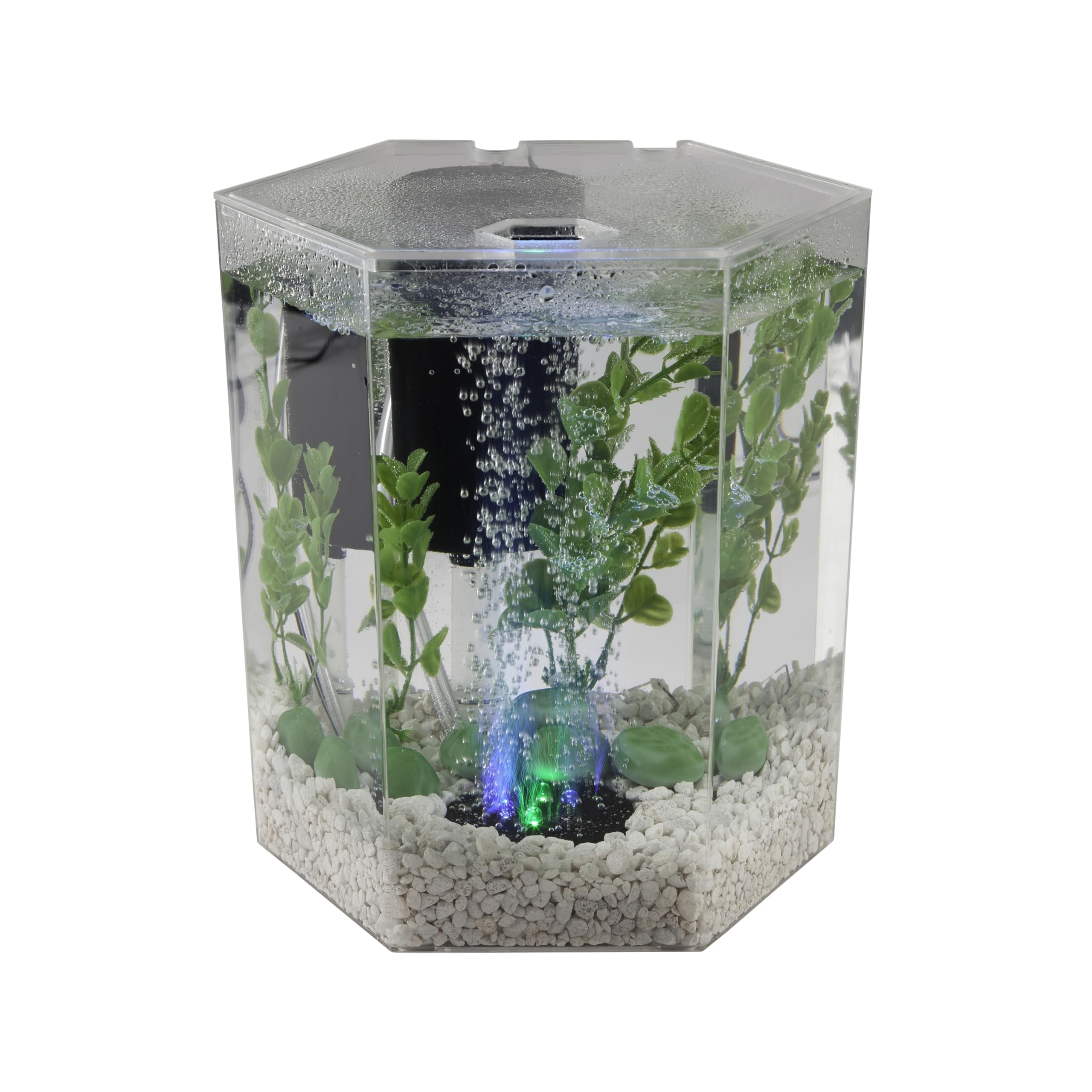 The Tetra air pump powers both the bubbling disc and filtration.