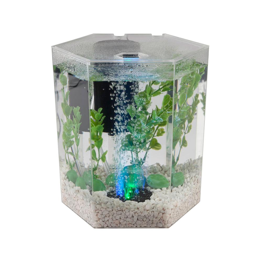 The Tetra air pump powers both the bubbling disc and filtration.