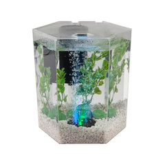 The Tetra air pump powers both the bubbling disc and filtration.