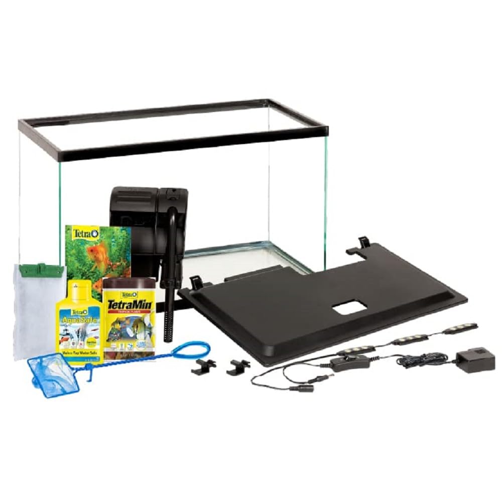 Tetra 10-gallon aquarium with LED hood for bright daylight viewing.