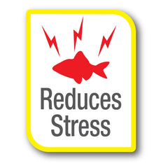 Tetra AquaSafe Plus BioExtract formula supports beneficial bacteria and clearer water