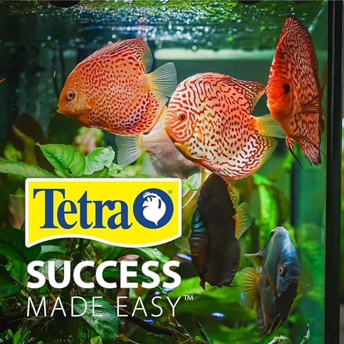 The Tetra betta-ready setup supports beginner-friendly care.
