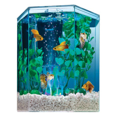 The Tetra Bubbling LED hexagon tank design ideal for small spaces.