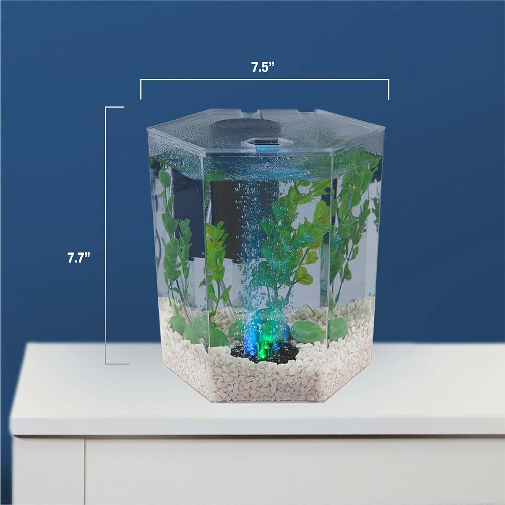The Tetra clear canopy with feeding hole for easy meals.