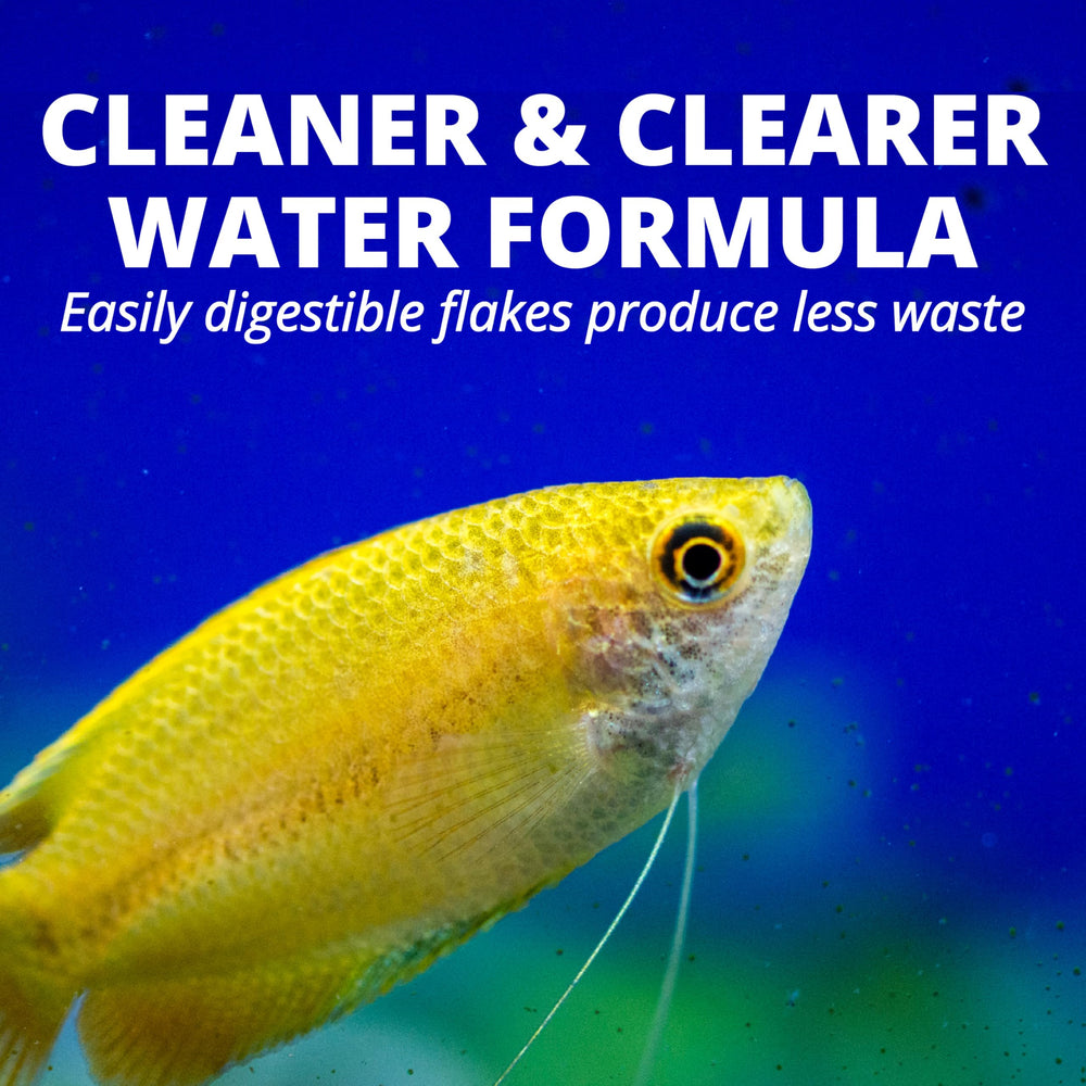 Flakes designed to enhance color and vitality in tropical fish with TetraColor.