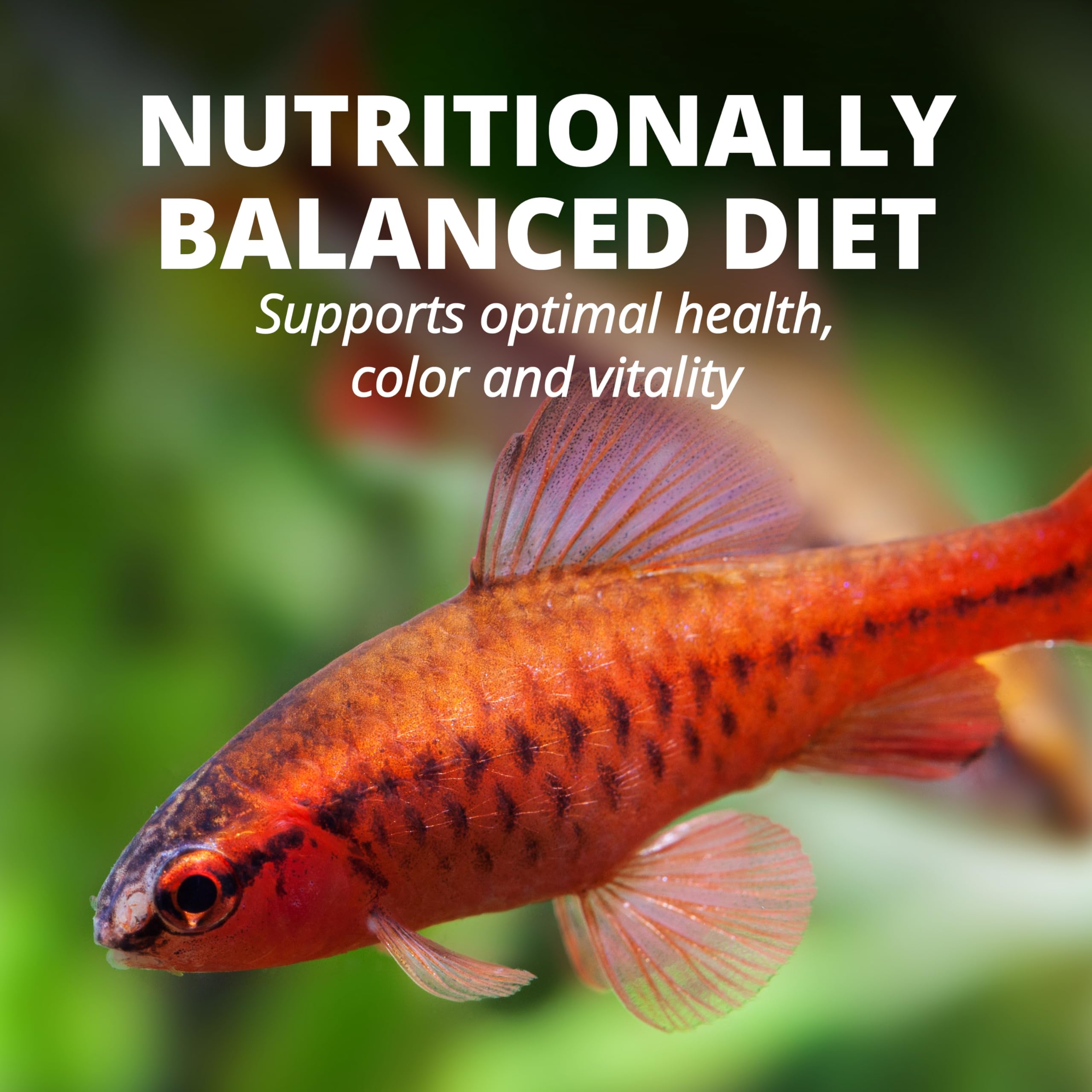 Label close-up highlighting the Active Life Formula and vitamin C in TetraColor Tropical Flakes.