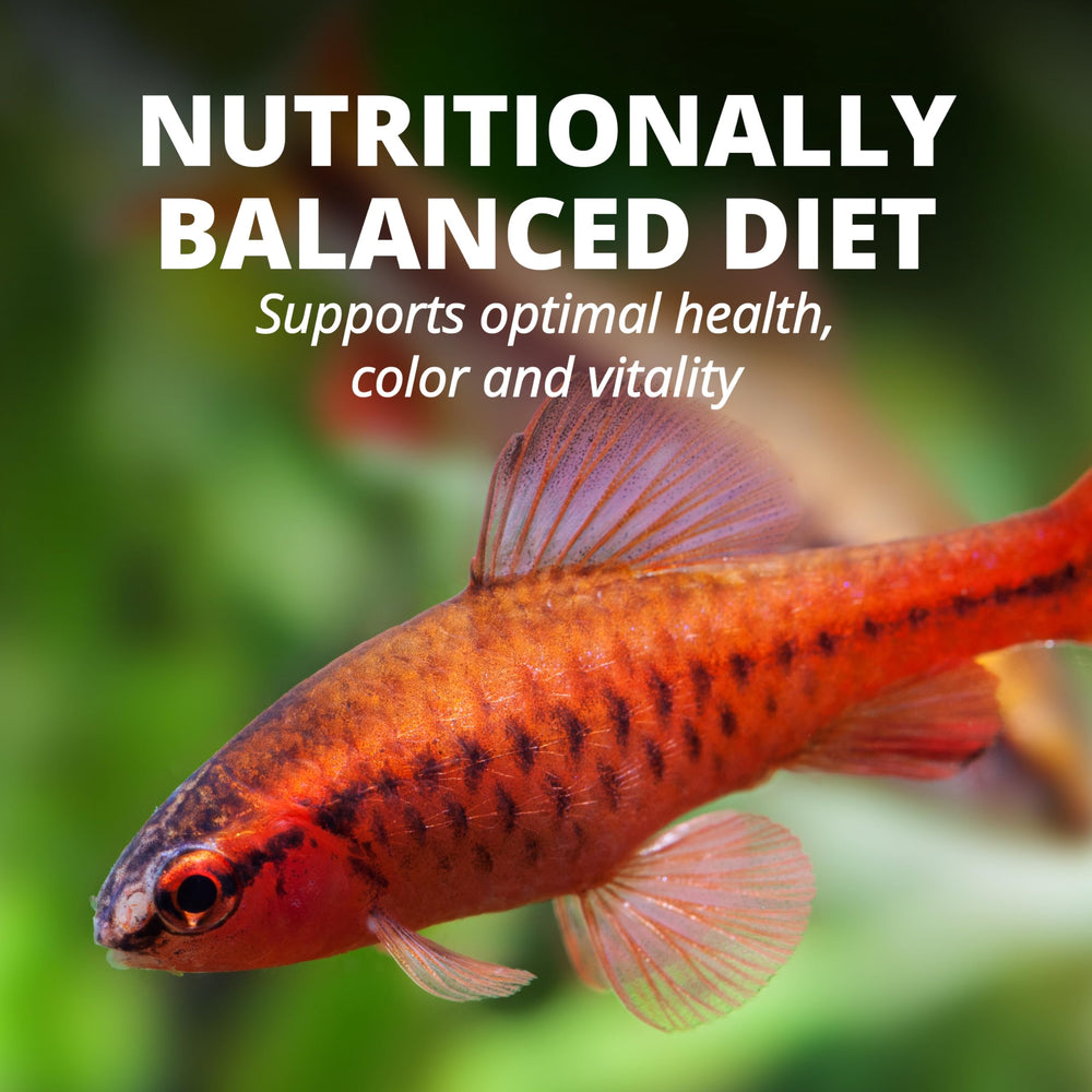 Label close-up highlighting the Active Life Formula and vitamin C in TetraColor Tropical Flakes.