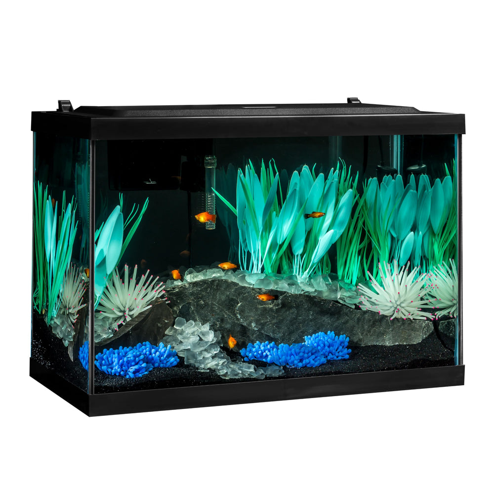 Tetra ColorFusion 20gal aquarium kit, complete starter setup for new hobbyists.