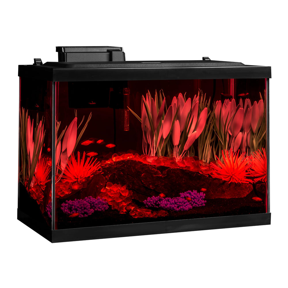 Tetra ColorFusion 20gal glass aquarium fits compact spaces.