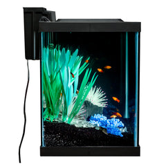 Tetra ColorFusion anemone sways with current for natural movement.