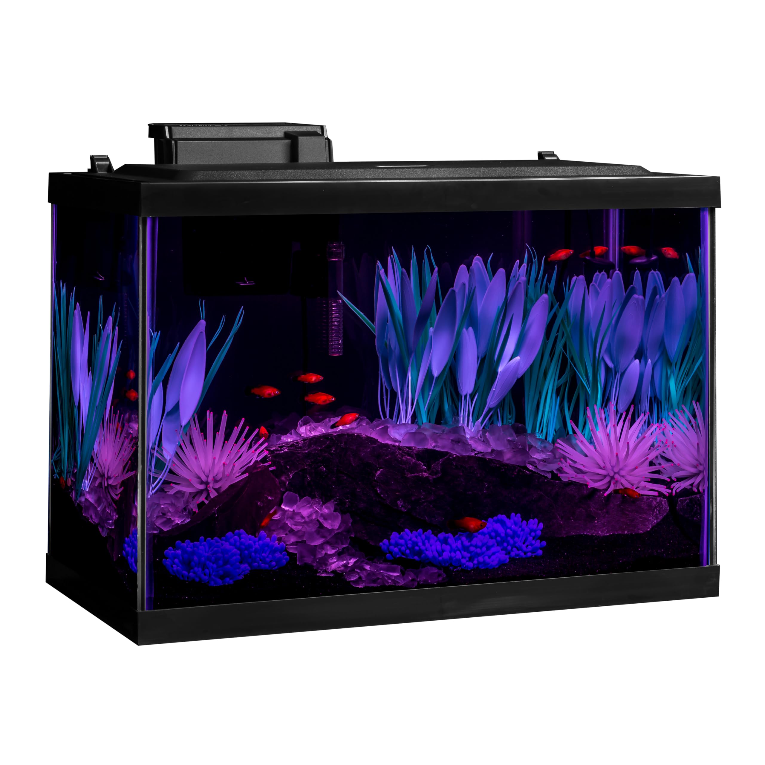 Tetra ColorFusion aquarium hood with integrated lighting for easy viewing.