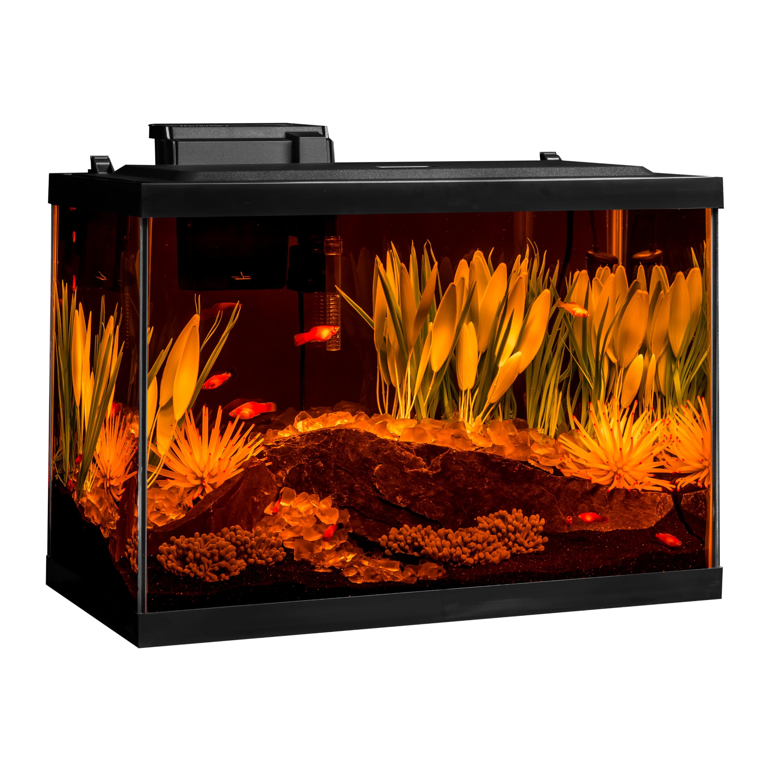 Tetra ColorFusion UL heater ensures stable water warmth for tropical setups.