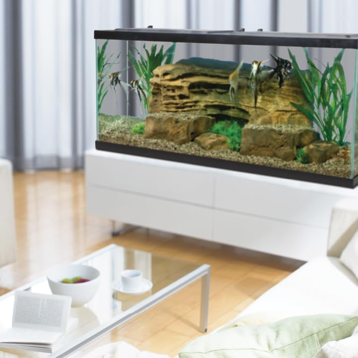 Crystal-clear glass tank from Tetra Complete LED Aquarium 55 gallon for vivid underwater view