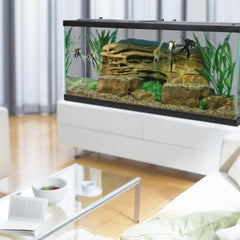 Crystal-clear glass tank from Tetra Complete LED Aquarium 55 gallon for vivid underwater view